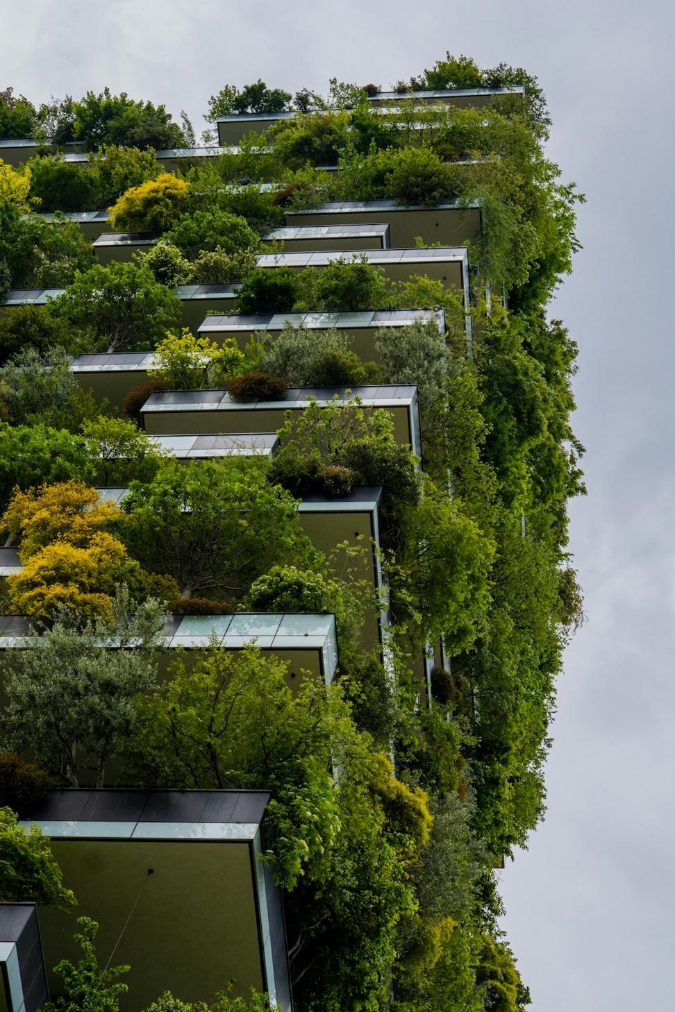 Eco Haven